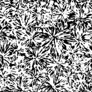 Etched Carnations Pattern