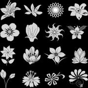 Etched Flower Silhouette Pattern