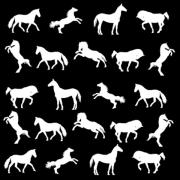 Etched Horse Silhouette Pattern