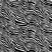 Etched Zebra 1 Pattern