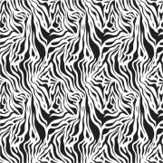 Etched Zebra 2 Pattern