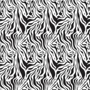 Etched Zebra 2 Pattern