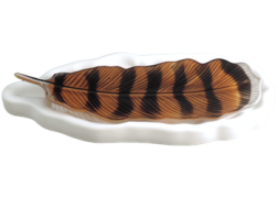 Feather Mold