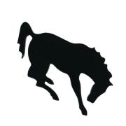 precut-bucking-bronco-horse-coe90-sku-176555-600x600.jpg