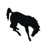 Precut Bucking Bronco Horse COE96