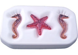 Seahorse and Starfish Mold