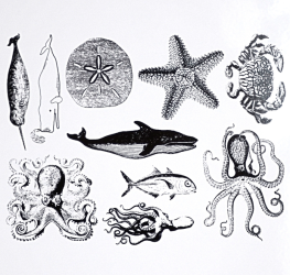 Sealife Decals Sheet