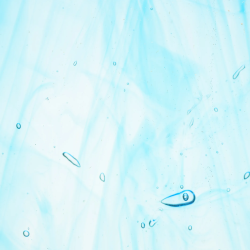 Wissmach Prisma Glass Crystal/ Sea Blue Transparent, 3mm COE96