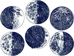 Moon Decal Sheet