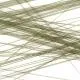 Oceanside Glass Stringers Light Olive Transparent COE96