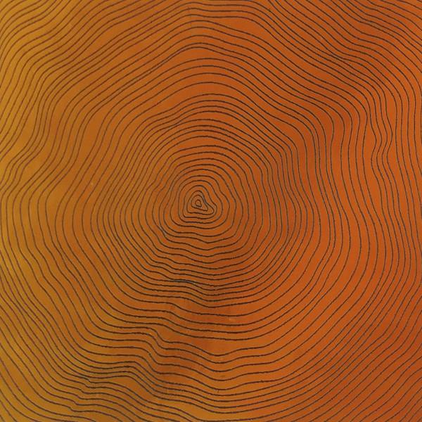Etched Growth Rings Pattern on Thin Glass COE90