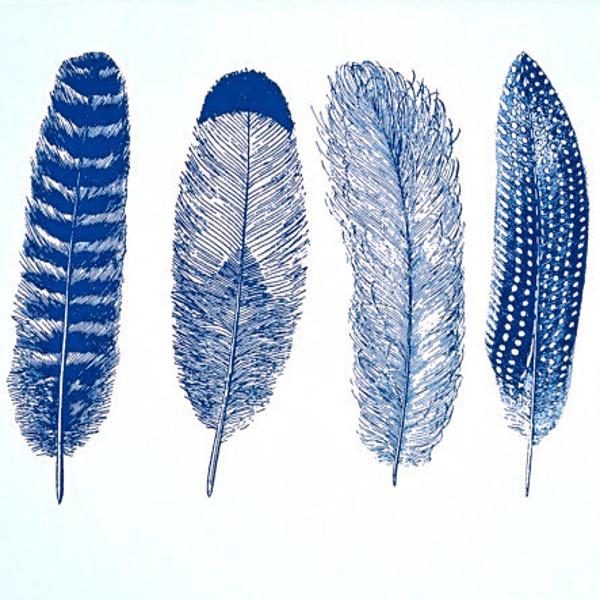 Feathers Decal Sheet