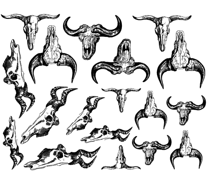 Bull Skull Decal Sheet