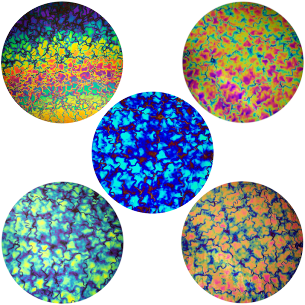 CBS Dichroic Assortment Fusion Pattern COE90