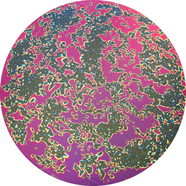 CBS Dichroic Coating Black Cherry Splatter Pattern on Thin Black Glass COE90