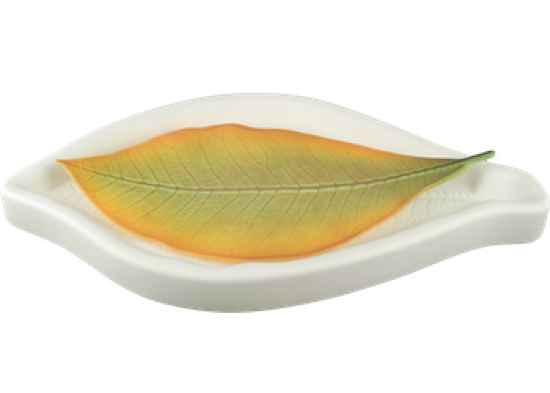 Cloud Forest Magnolia Mold