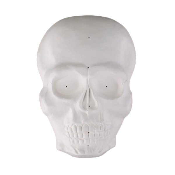 Skull Mask Draping Mold