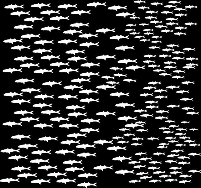 Etched School of Fish Pattern
