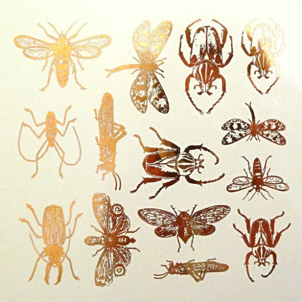 Insects Decal Sheet