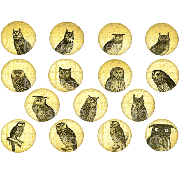 Owl Circles Color Decal Sheet