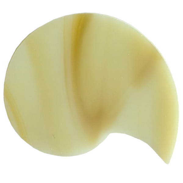 Precut Nautilus Sea Shell COE96