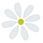 precut-flower-daisy-coe90-sku-158883-600x600.jpg
