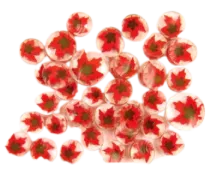 Red & Black Maple Leaf Murrini/ Millefiore COE90