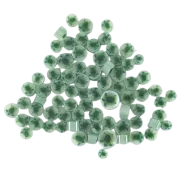 Sea Turtle Murrini/ Millefiore COE96