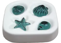 small-beach-shells-181653-600x600.png