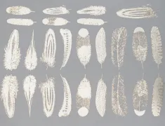 Small Feathers Decal Sheet