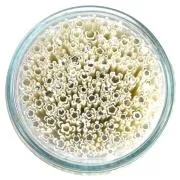 Snow Blossom Flowers Murrini/ Millefiore Sticks COE90