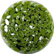 Spring Green Leaves Murrini/ Millefiore Sticks COE90