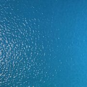 Wissmach Glass Blue Lake Corella Classic Texture, 3mm, Non-Fusible