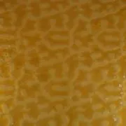 Wissmach Glass Butterscotch Flemish Texture, 3mm, Non-Fusible