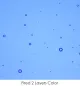 Wissmach Glass Cornflower Blue Transparent, 3mm COE96