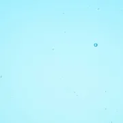 Wissmach Glass Deep Sky Blue Transparent, 3mm COE96