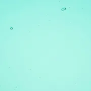Wissmach Glass Emerald Coast Transparent, 3mm COE96