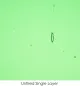 Wissmach Glass Garden Green Transparent, 3mm COE96