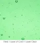 Wissmach Glass Garden Green Transparent, 3mm COE96
