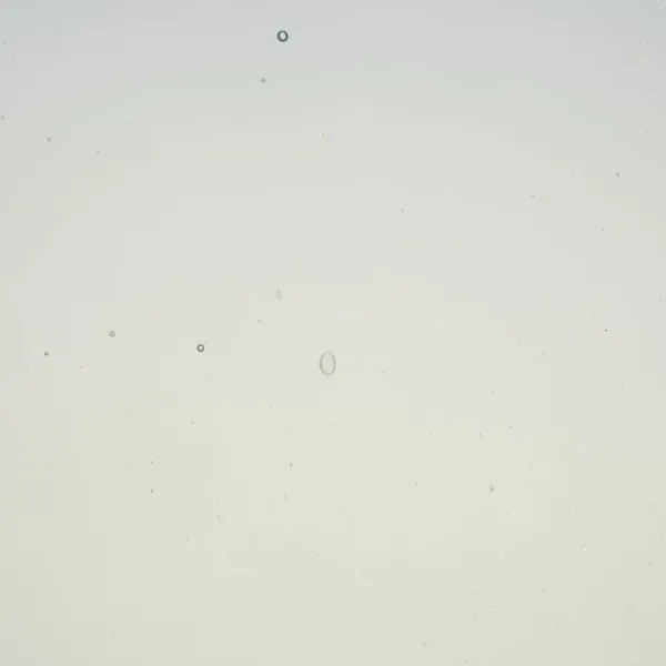 Wissmach Glass Grey Transparent, 3mm COE96