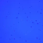 Wissmach Glass Midnight Blue Transparent, 3mm COE96