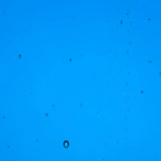 wissmach-glass-sea-blue-transparent-3mm-coe96-sku-165007-1024x1024.png