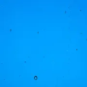 Wissmach Glass Sea Blue Transparent, 3mm COE96